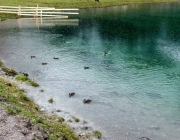 Schafschoad Seeben Alm 2013 – Grünsteinscharte im Schnee