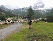 Schafschoad Seeben Alm 2013 – Grünsteinscharte im Schnee