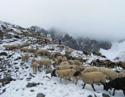 Schafschoad Seeben Alm 2013 – Grünsteinscharte im Schnee