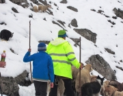 Schafschoad Seeben Alm 2013 – Grünsteinscharte im Schnee