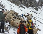 Schafschoad Seeben Alm 2013 – Grünsteinscharte im Schnee