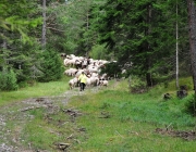 Schafschoad Seeben Alm 2013 – Grünsteinscharte im Schnee