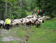 Schafschoad Seeben Alm 2013 – Grünsteinscharte im Schnee