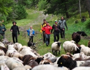 Schafschoad Seeben Alm 2013 – Grünsteinscharte im Schnee