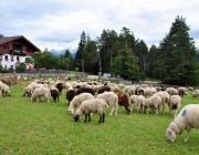 Schafschoad Seeben Alm 2013 – Grünsteinscharte im Schnee