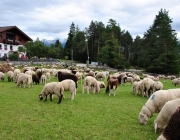 Schafschoad Seeben Alm 2013 – Grünsteinscharte im Schnee