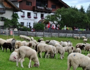 Schafschoad Seeben Alm 2013 – Grünsteinscharte im Schnee