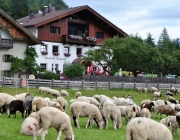 Schafschoad Seeben Alm 2013 – Grünsteinscharte im Schnee