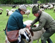 Schafschoad Seeben Alm 2013 – Grünsteinscharte im Schnee