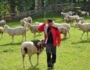 Schafschoad Seeben Alm 2013 – Grünsteinscharte im Schnee