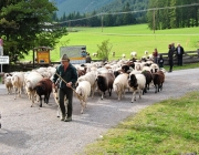 Schafschoad Seeben Alm 2013 – Grünsteinscharte im Schnee