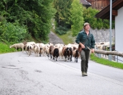 Schafschoad Seeben Alm 2013 – Grünsteinscharte im Schnee