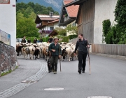 Schafschoad Seeben Alm 2013 – Grünsteinscharte im Schnee