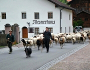 Schafschoad Seeben Alm 2013 – Grünsteinscharte im Schnee