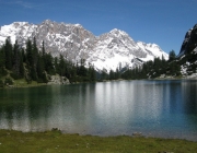 Schafschoad 2010 - Seeben Alm/Untermieming