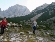 Schafschoad 2010 - Seeben Alm/Untermieming