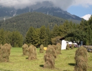 Schafschoad 2010 - Seeben Alm/Untermieming