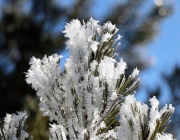 Schneekristalle am Stöttlbach