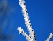 Schneekristalle am Stöttlbach