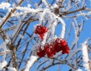 Schneekristalle am Stöttlbach