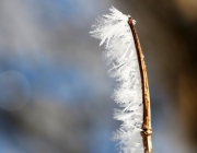 Schneekristalle am Stöttlbach