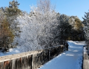 Schneekristalle am Stöttlbach