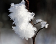 Schneekristalle am Stöttlbach