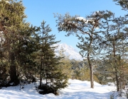 Schneekristalle am Stöttlbach