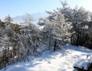 Schneekristalle am Stöttlbach