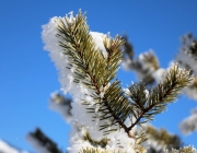 Schneekristalle am Stöttlbach