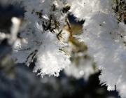 Schneekristalle am Stöttlbach