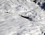 Schneekristalle am Stöttlbach