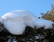 Schneekristalle am Stöttlbach