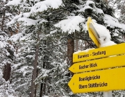 Schneewanderung zur Oberen Boasligbrücke