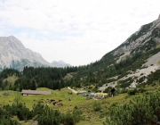 Freilichtbühne Seeben Alm – Almvieh und Wanderer begegnen sich Aug‘ in Aug‘
