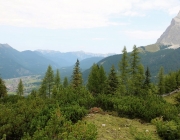 Freilichtbühne Seeben Alm – Almvieh und Wanderer begegnen sich Aug‘ in Aug‘
