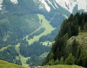 Freilichtbühne Seeben Alm – Almvieh und Wanderer begegnen sich Aug‘ in Aug‘