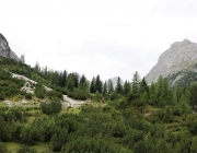 Freilichtbühne Seeben Alm – Almvieh und Wanderer begegnen sich Aug‘ in Aug‘