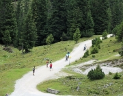 Freilichtbühne Seeben Alm – Almvieh und Wanderer begegnen sich Aug‘ in Aug‘