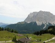 Freilichtbühne Seeben Alm – Almvieh und Wanderer begegnen sich Aug‘ in Aug‘