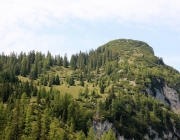 Freilichtbühne Seeben Alm – Almvieh und Wanderer begegnen sich Aug‘ in Aug‘