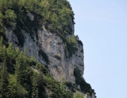 Freilichtbühne Seeben Alm – Almvieh und Wanderer begegnen sich Aug‘ in Aug‘