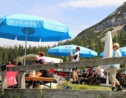 Freilichtbühne Seeben Alm – Almvieh und Wanderer begegnen sich Aug‘ in Aug‘
