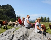 Freilichtbühne Seeben Alm – Almvieh und Wanderer begegnen sich Aug‘ in Aug‘