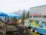 Freilichtbühne Seeben Alm – Almvieh und Wanderer begegnen sich Aug‘ in Aug‘