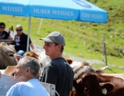 Freilichtbühne Seeben Alm – Almvieh und Wanderer begegnen sich Aug‘ in Aug‘