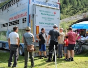 Freilichtbühne Seeben Alm – Almvieh und Wanderer begegnen sich Aug‘ in Aug‘