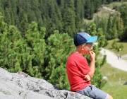 Freilichtbühne Seeben Alm – Almvieh und Wanderer begegnen sich Aug‘ in Aug‘
