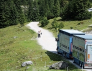 Freilichtbühne Seeben Alm – Almvieh und Wanderer begegnen sich Aug‘ in Aug‘