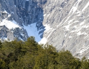 Steinblumen am Stöttlbach